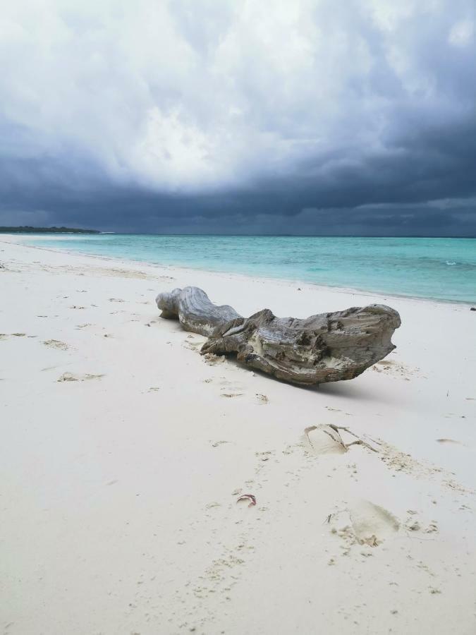 Faima Fishing Lodge At Daravandhoo Dharavandhoo Extérieur photo